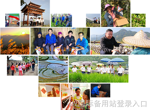 xinxing.png